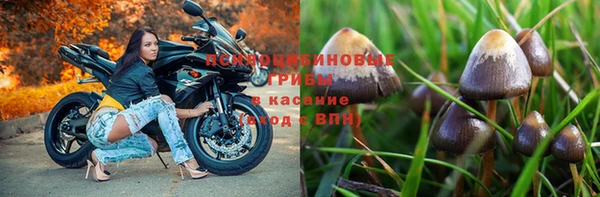 каннабис Аркадак