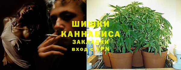 PSILOCYBIN Кулебаки