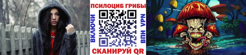 Галлюциногенные грибы мухоморы где купить наркоту Стародуб